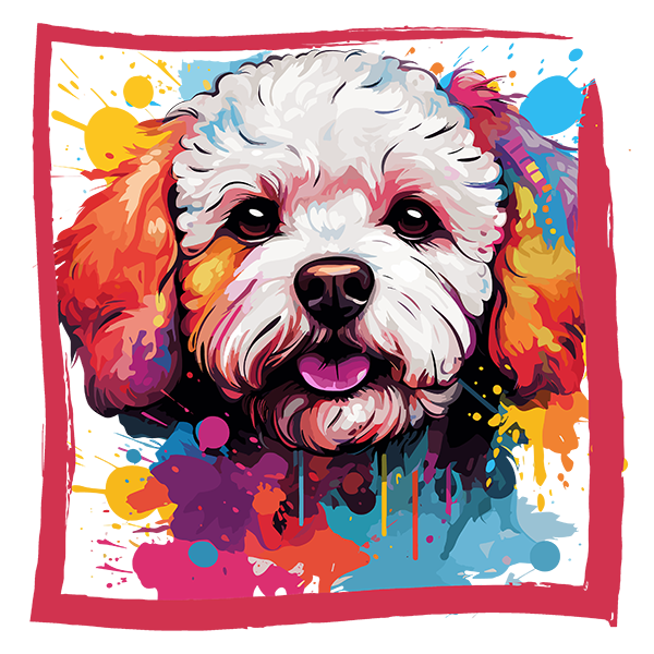 Tricou Bichon Frise [2]