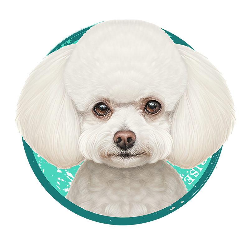 Tricou Bichon Frise [2]
