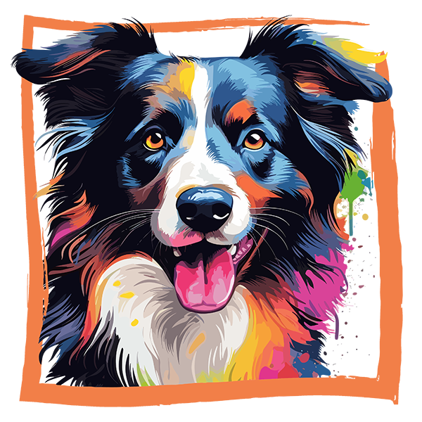 Tricou Border Collie [2]