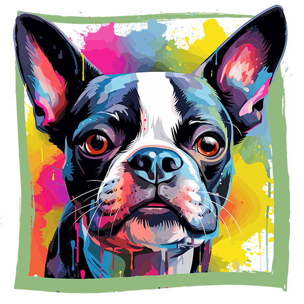 Tricou Boston Terrier [2]