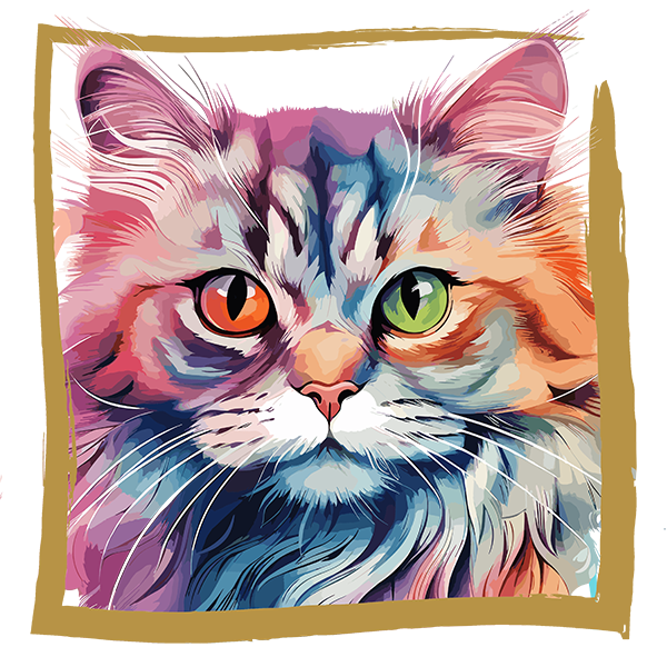 Tricou British Longhair [2]