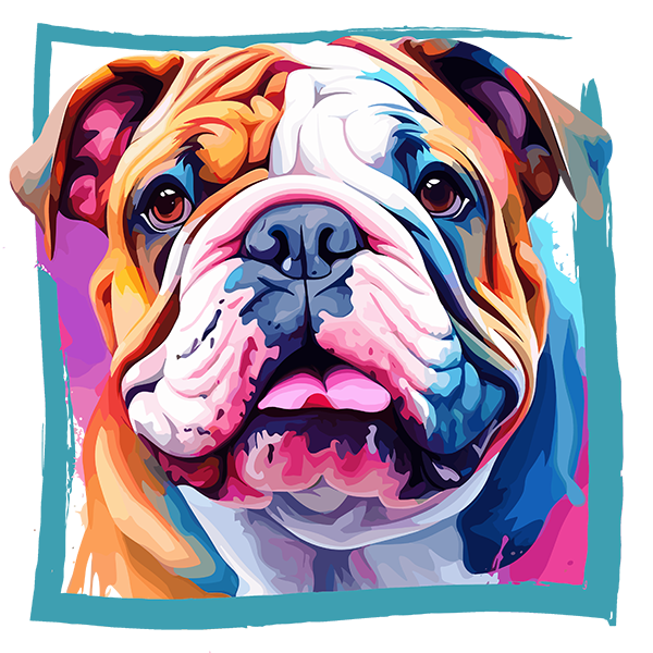 Tricou Bulldog [2]