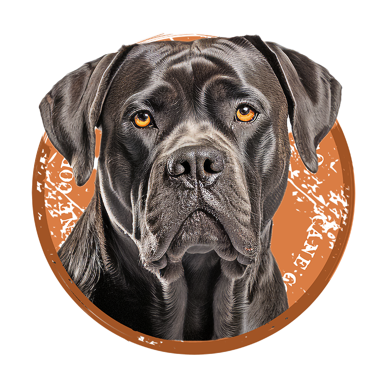 Tricou Cane Corso [3]