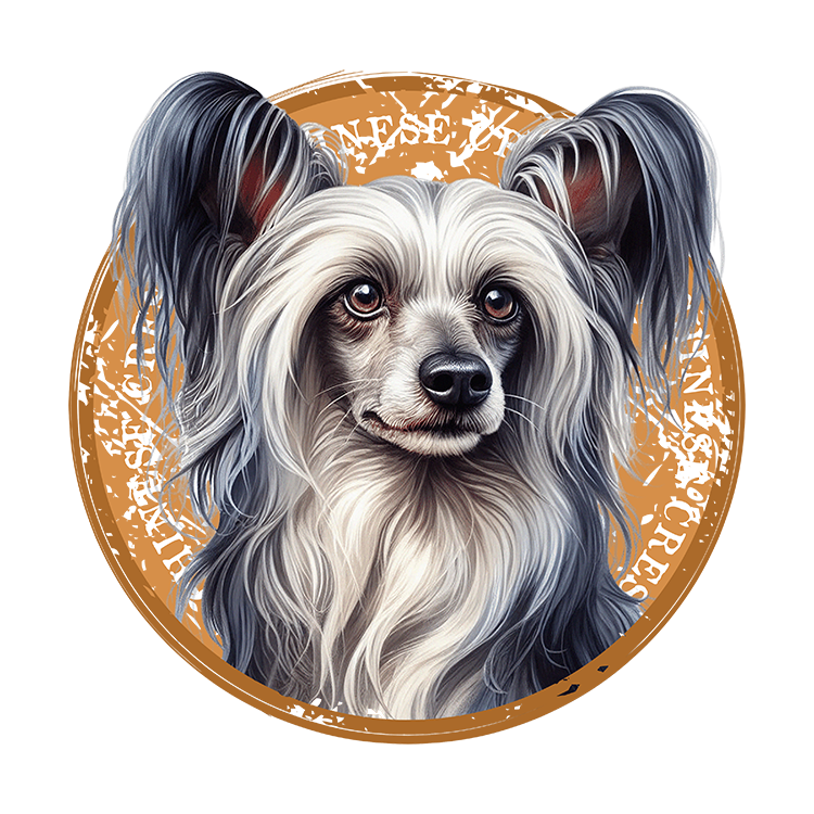 Tricou Chinese Crested [2]