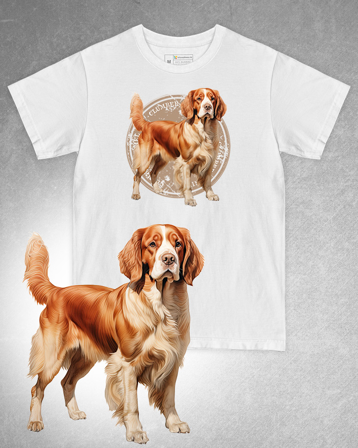 Tricou alb damă. Tricou alb bărbați. Tricou personalizat. Tricou bumbac 100%. Tricou Clumber Spaniel [1]