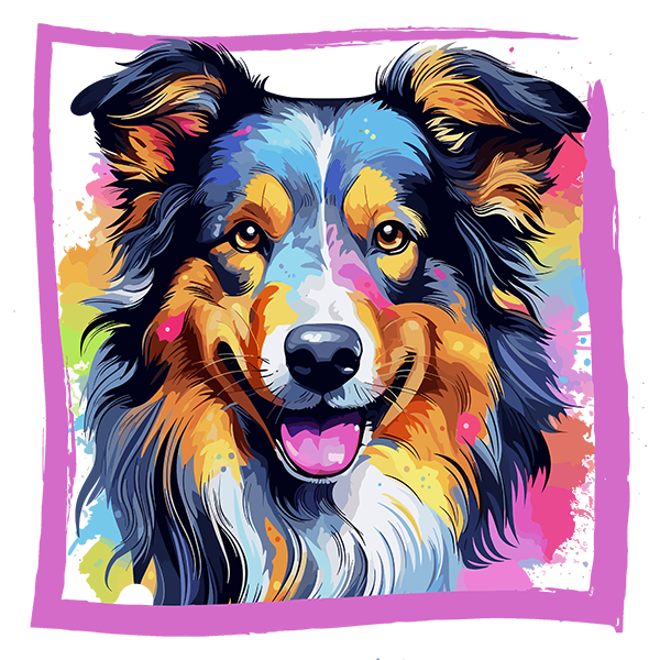 Tricou Collie [2]