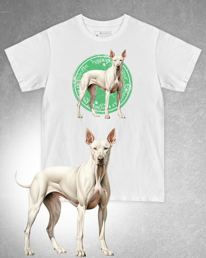 Tricou alb damă. Tricou alb bărbați. Tricou personalizat. Tricou bumbac 100%. Tricou Doberman Pinscher [1]