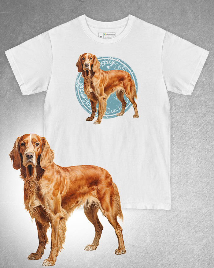 Tricou alb damă. Tricou alb bărbați. Tricou personalizat. Tricou bumbac 100%. Tricou English Setter [1]