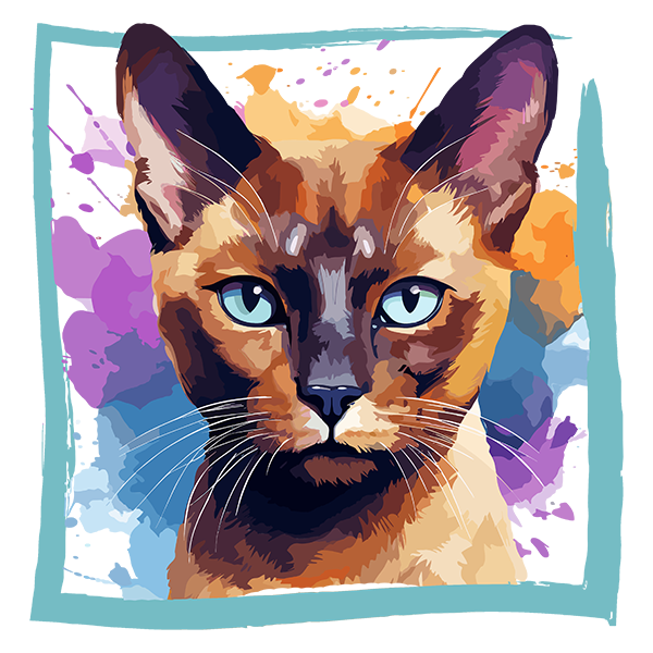 Tricou European Burmese [2]