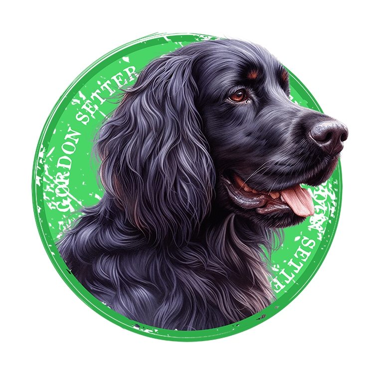 Tricou Gordon Setter [2]