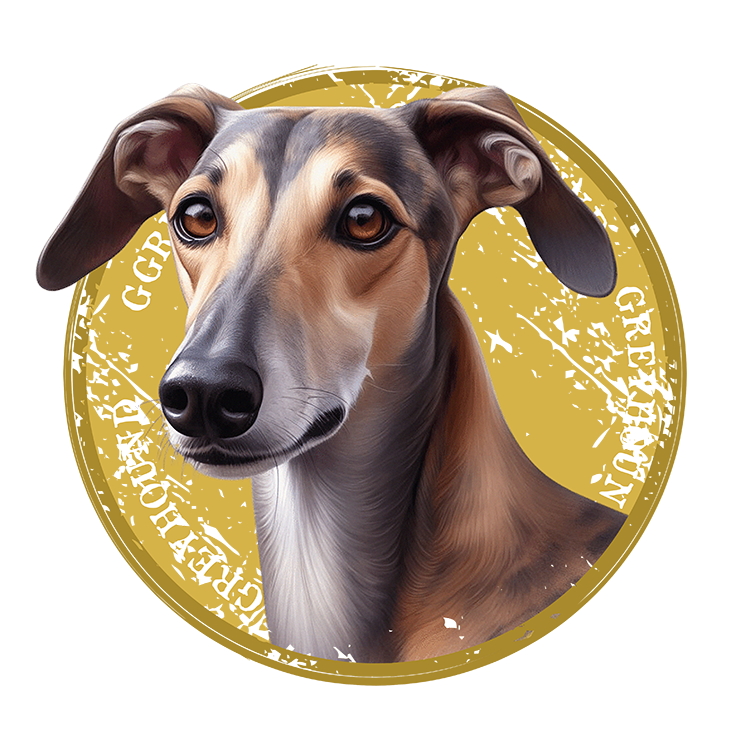 Tricou Greyhound #1 [2]