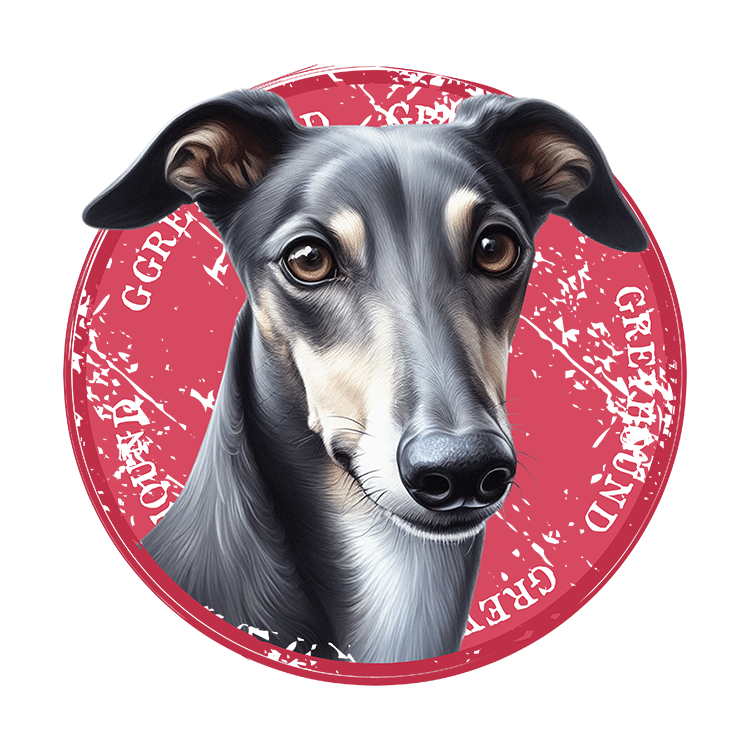 Tricou Greyhound #2 [2]