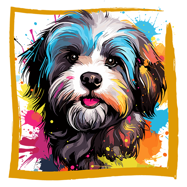 Tricou Bichon Havanez/Havanese [2]