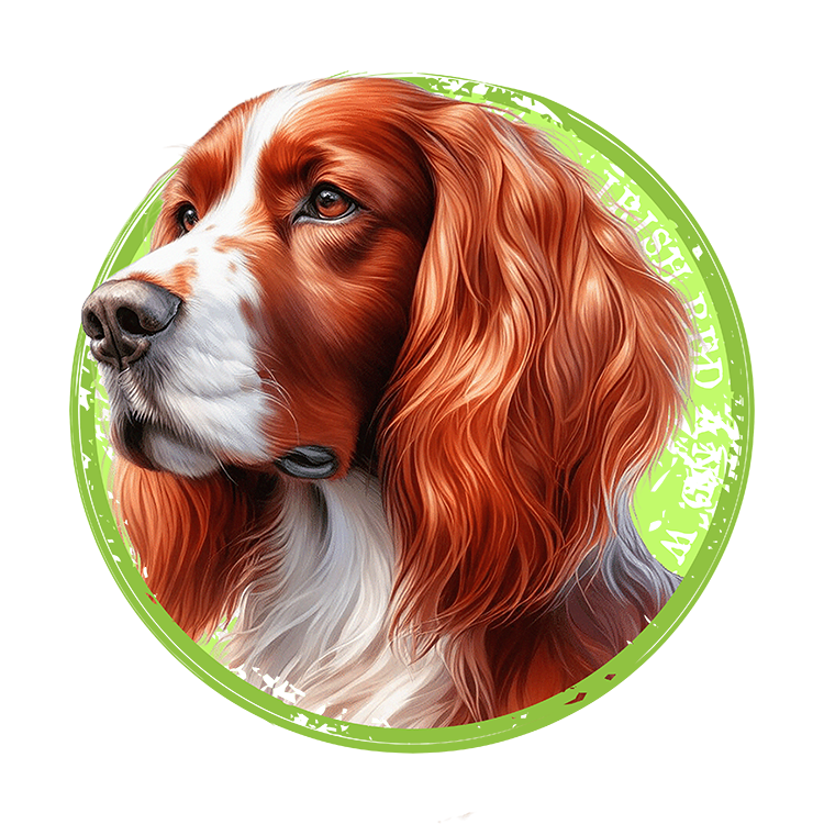 Tricou Irish Red and White Setter [2]