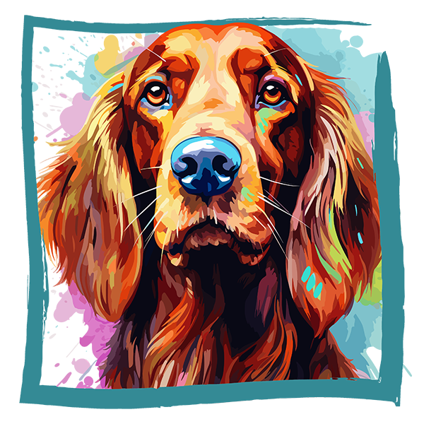 Tricou Irish Setter [2]