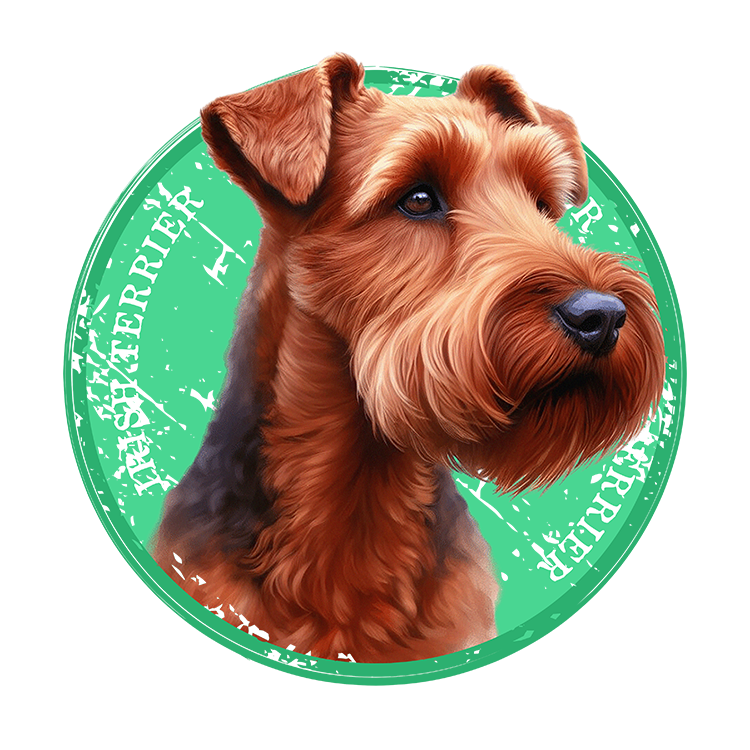Tricou Irish Terrier [2]