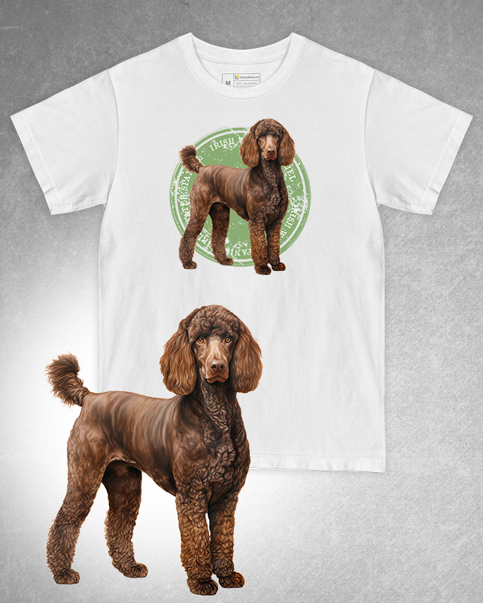 Tricou alb damă. Tricou alb bărbați. Tricou personalizat. Tricou bumbac 100%. Tricou Irish Water Spaniel [1]