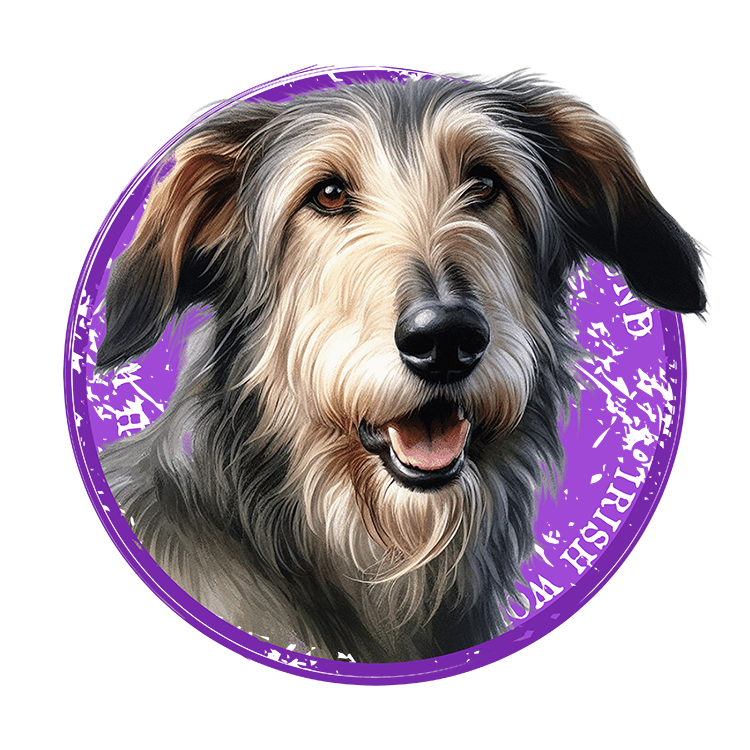 Tricou Irish Wolfhound [2]