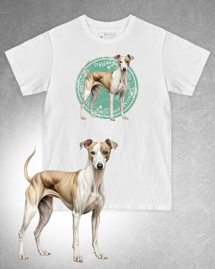 Tricou alb damă. Tricou alb bărbați. Tricou personalizat. Tricou bumbac 100%. Tricou Italian Greyhound [1]