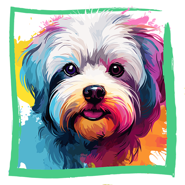 Tricou Bichon Maltez/Maltese [2]