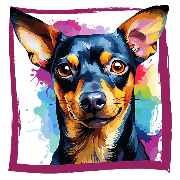 Tricou Miniature Pinscher [2]