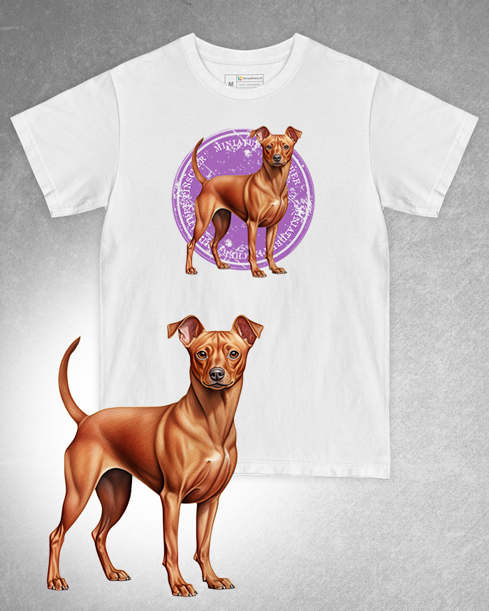 Tricou alb damă. Tricou alb bărbați. Tricou personalizat. Tricou bumbac 100%. Tricou Miniature Pinscher [1]