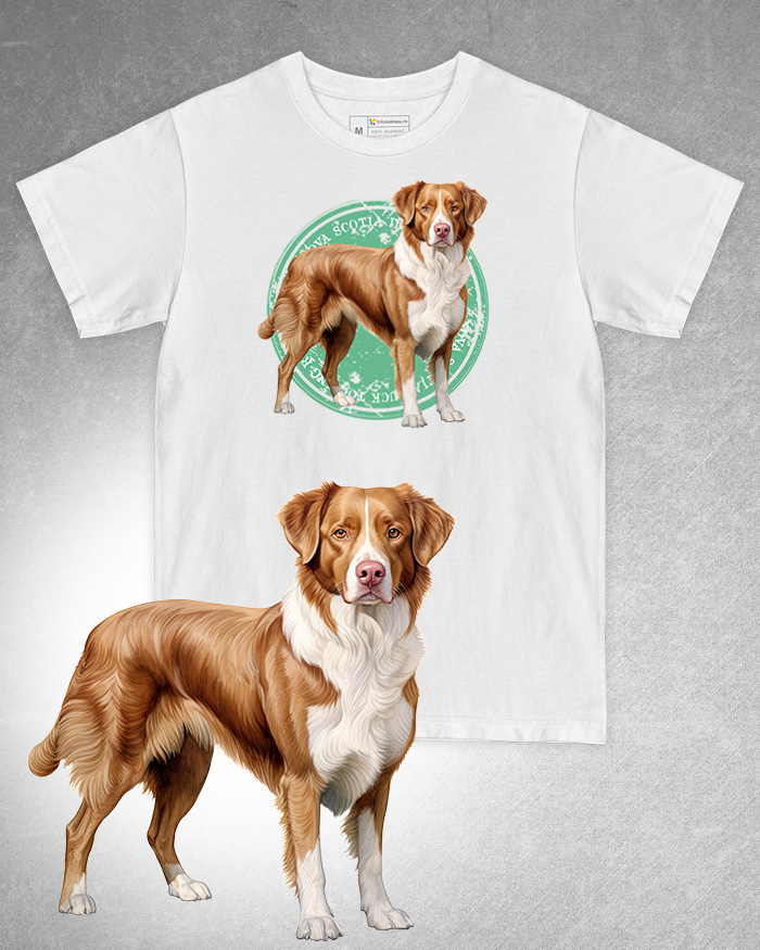 Tricou alb damă. Tricou alb bărbați. Tricou personalizat. Tricou bumbac 100%. Tricou Nova Scotia Duck Tolling Retriever [1]
