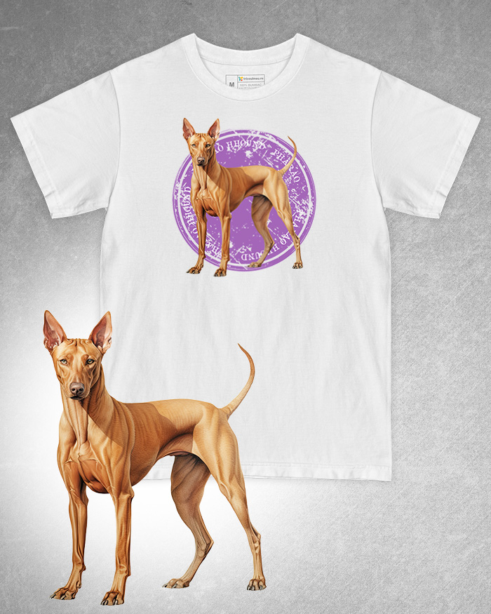 Tricou alb damă. Tricou alb bărbați. Tricou personalizat. Tricou bumbac 100%. Tricou Pharaoh Hound [1]