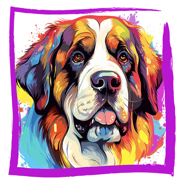 Tricou Saint Bernard [2]