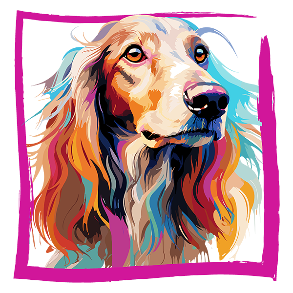 Tricou Saluki [2]