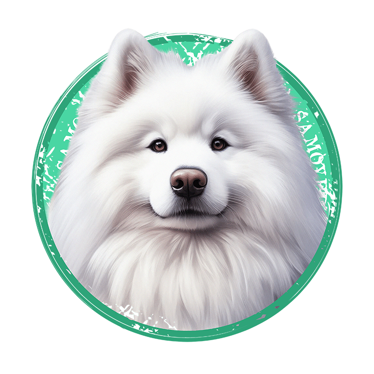Tricou Samoyed [2]