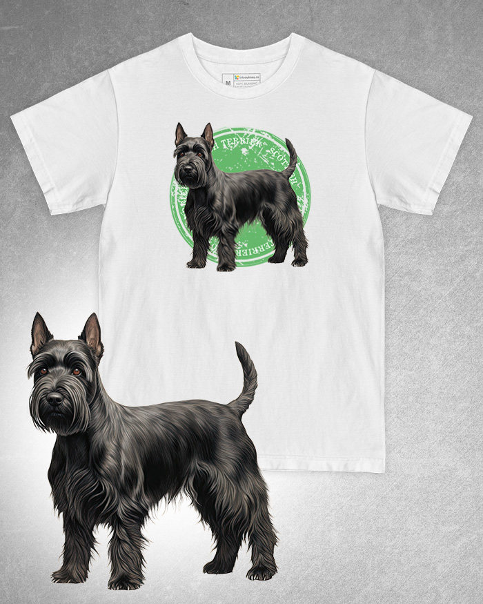 Tricou alb damă. Tricou alb bărbați. Tricou personalizat. Tricou bumbac 100%. Tricou Scottish Terrier [1]