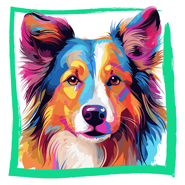 Tricou Shetland Sheepdog [2]