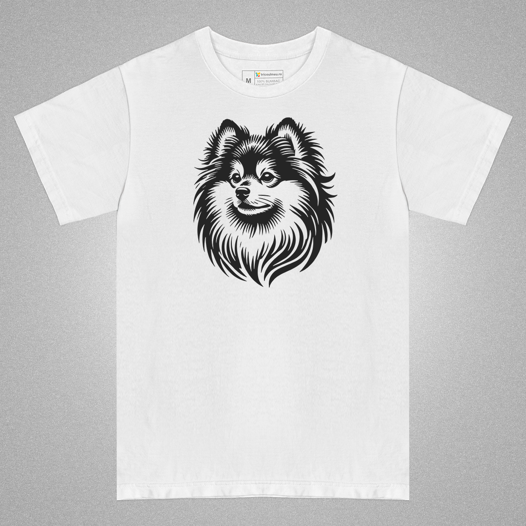 Tricou Spitz #2 [1]