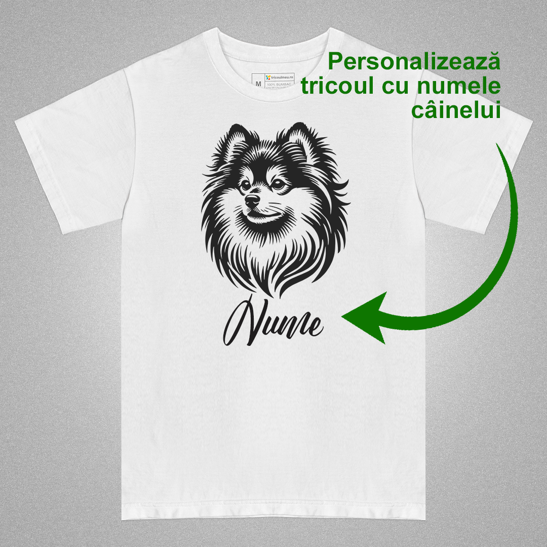 Tricou Spitz #2 [2]