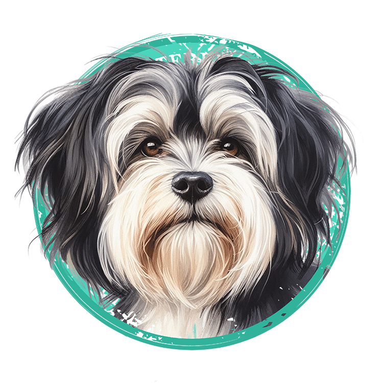 Tricou Tibetan Terrier [2]
