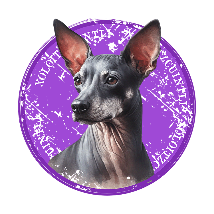 Tricou Xoloitzcuintli [2]