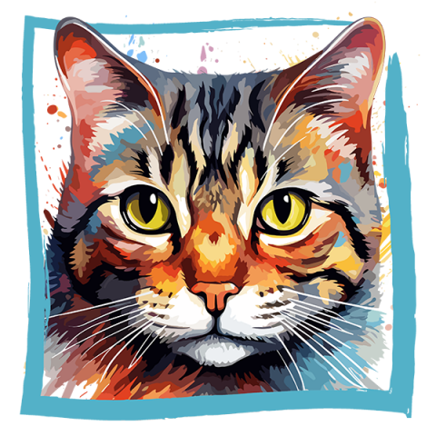 Tricou American Wirehair [1]