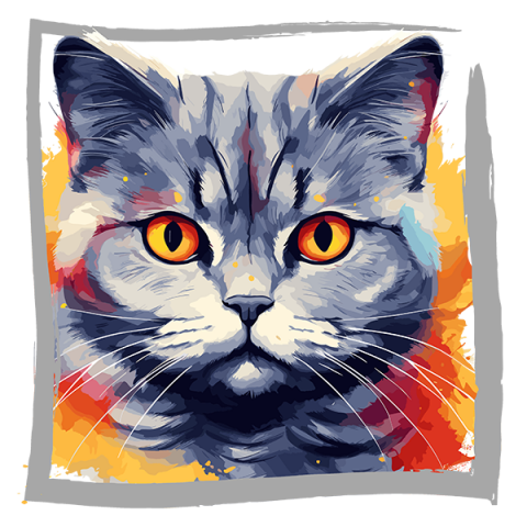 Tricou British Shorthair [1]