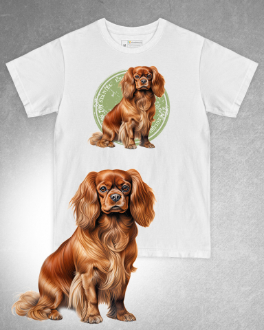 TRICOURI CU CÂINI - Tricou alb damă. Tricou alb bărbați. Tricou personalizat. Tricou bumbac 100%. Tricou English Toy Spaniel
