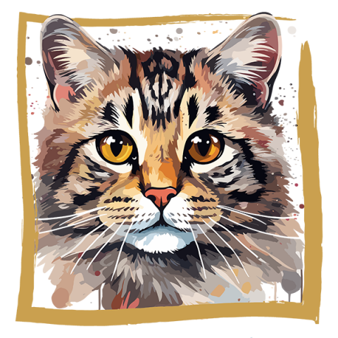 Tricou Fishing Cat [1]