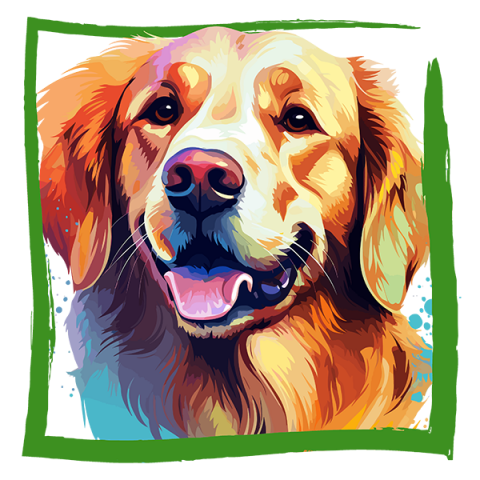 Tricou Golden Retriever [1]