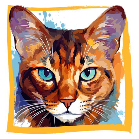 Tricou Havana Brown [1]