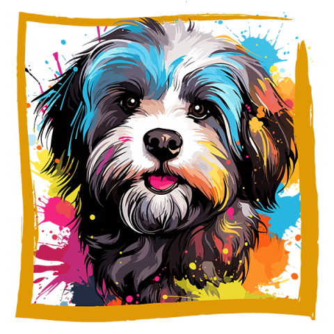 Tricou Bichon Havanez/Havanese [1]