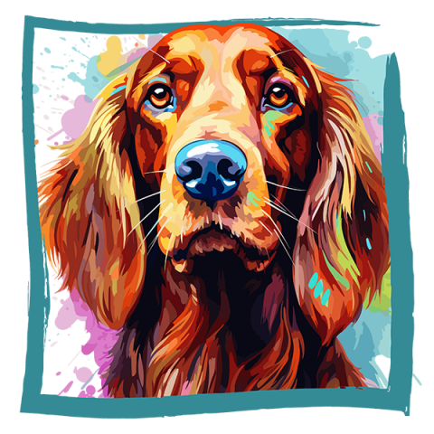 Tricou Irish Setter [1]