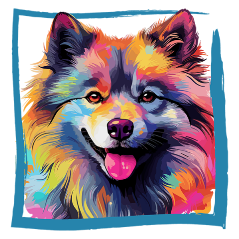 Tricou Keeshond [1]