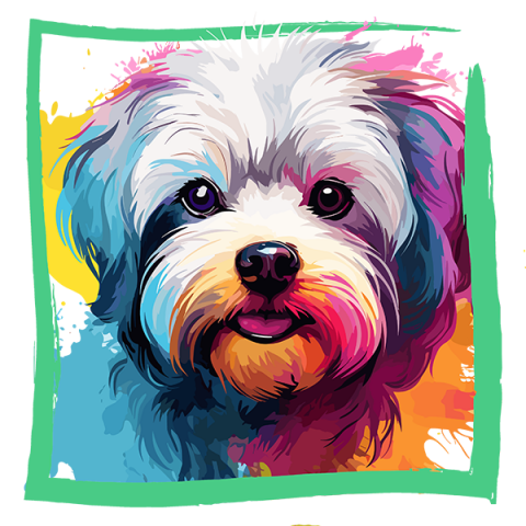 Tricou Bichon Maltez/Maltese [1]