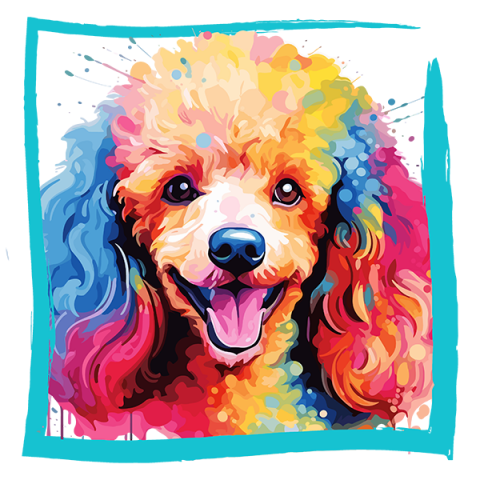 Tricou Pudel / Poodle [1]