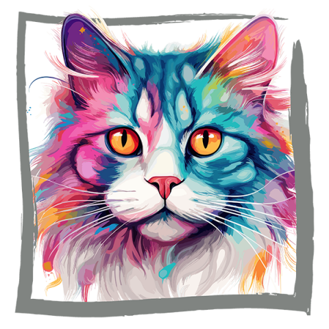 Tricou Ragamuffin [1]