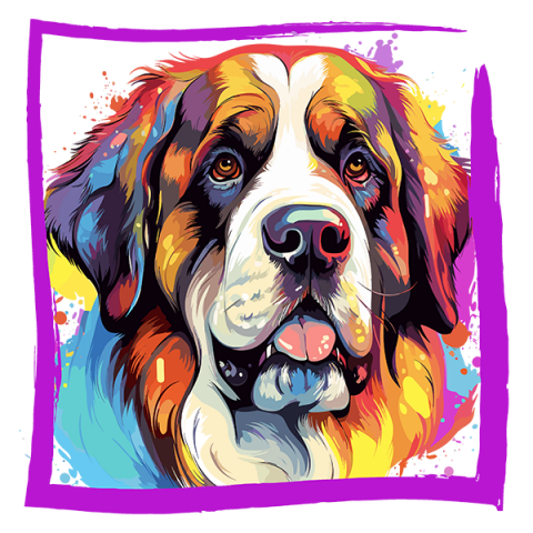 Tricou Saint Bernard [1]